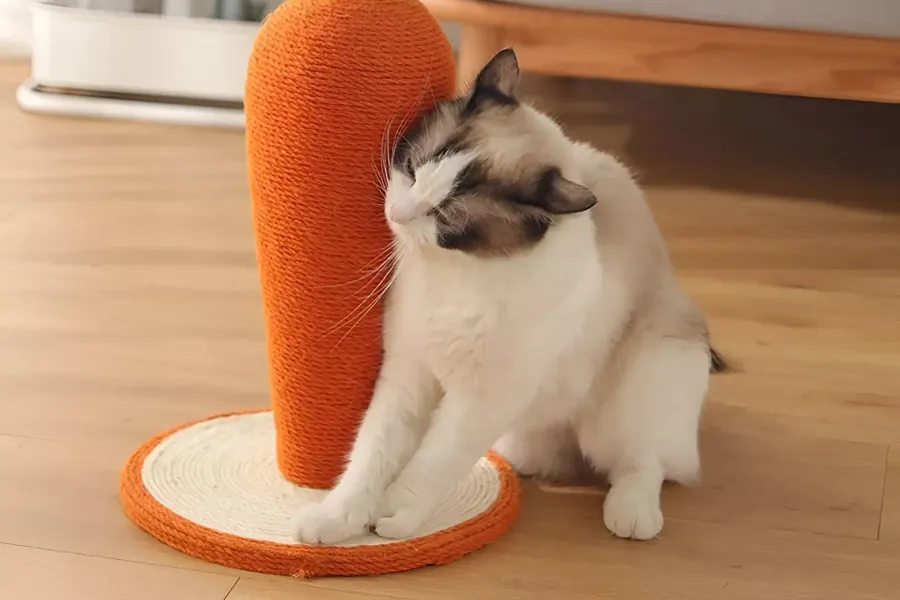 Funny Cat Tree for Small Cats